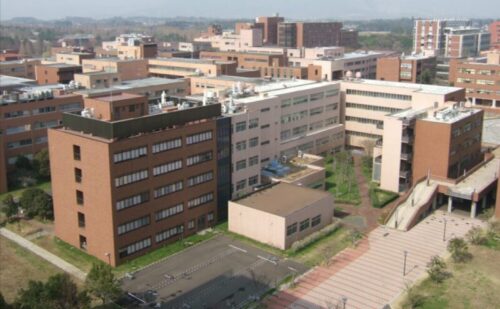鵜澤飛羽　大学