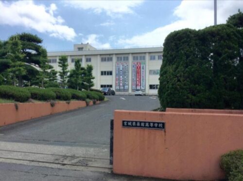 鵜澤飛羽　高校