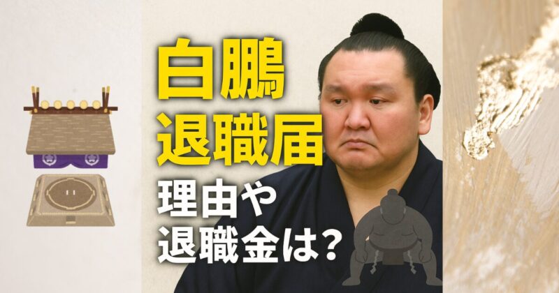 白鵬が退職届を提出した理由とは？退職金の額・今後の動向も徹底解説！