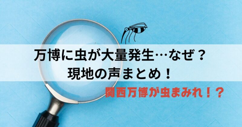 【なぜ？】大阪・万博会場で「虫が大量発生」した理由とは｜来場者の声まとめも！